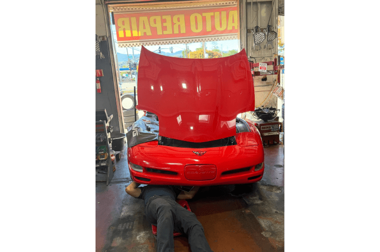 WEST BAY TIRES & 24 ROADSIDE SERVICES